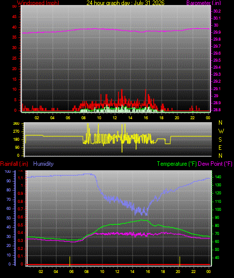 24 Hour Graph for Day 31